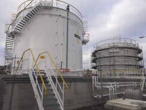 WhatsApp Image 2024 11 27 at 09.50.09